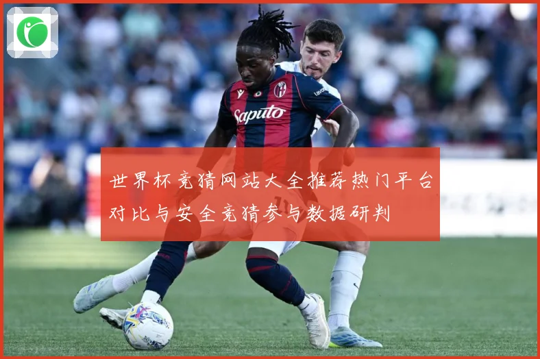 世界杯竞猜网站大全推荐热门平台对比与安全竞猜参与数据研判