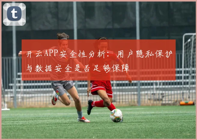 开云APP安全性分析：用户隐私保护与数据安全是否足够保障