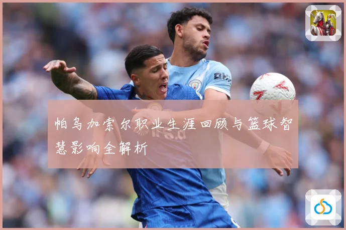 帕乌加索尔职业生涯回顾与篮球智慧影响全解析