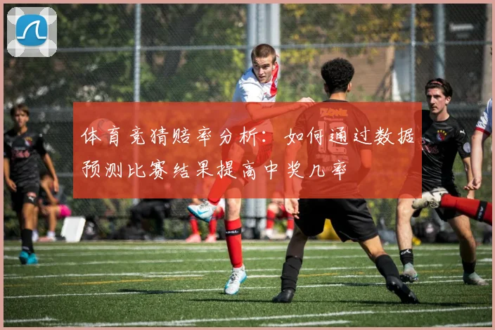 体育竞猜赔率分析：如何通过数据预测比赛结果提高中奖几率