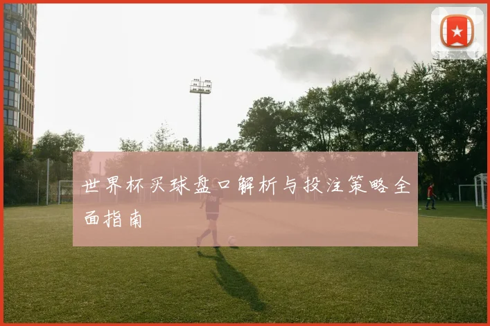 世界杯买球盘口解析与投注策略全面指南