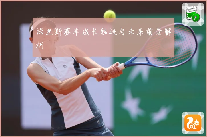诺里斯赛车成长轨迹与未来前景解析