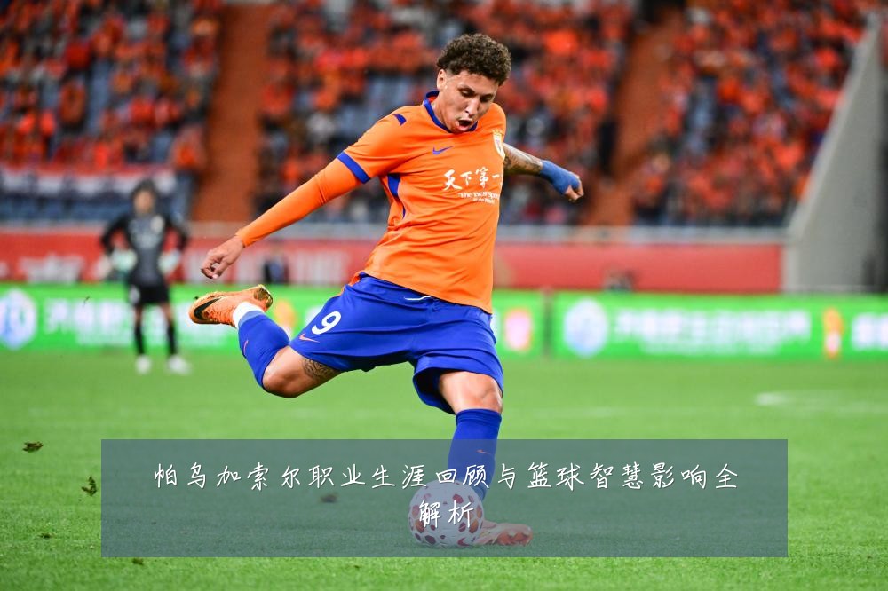 帕乌加索尔职业生涯回顾与篮球智慧影响全解析