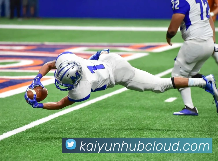 开云平台展示图