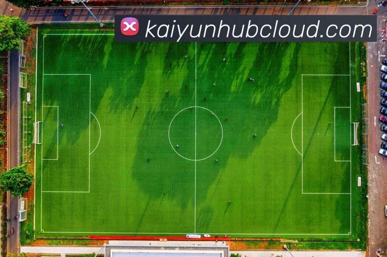 开云平台全面评测与使用体验解析及未来发展前景探讨